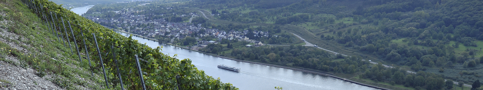 Blick von oben auf die Mosel, auf der ein Schiff fährt ©DLR